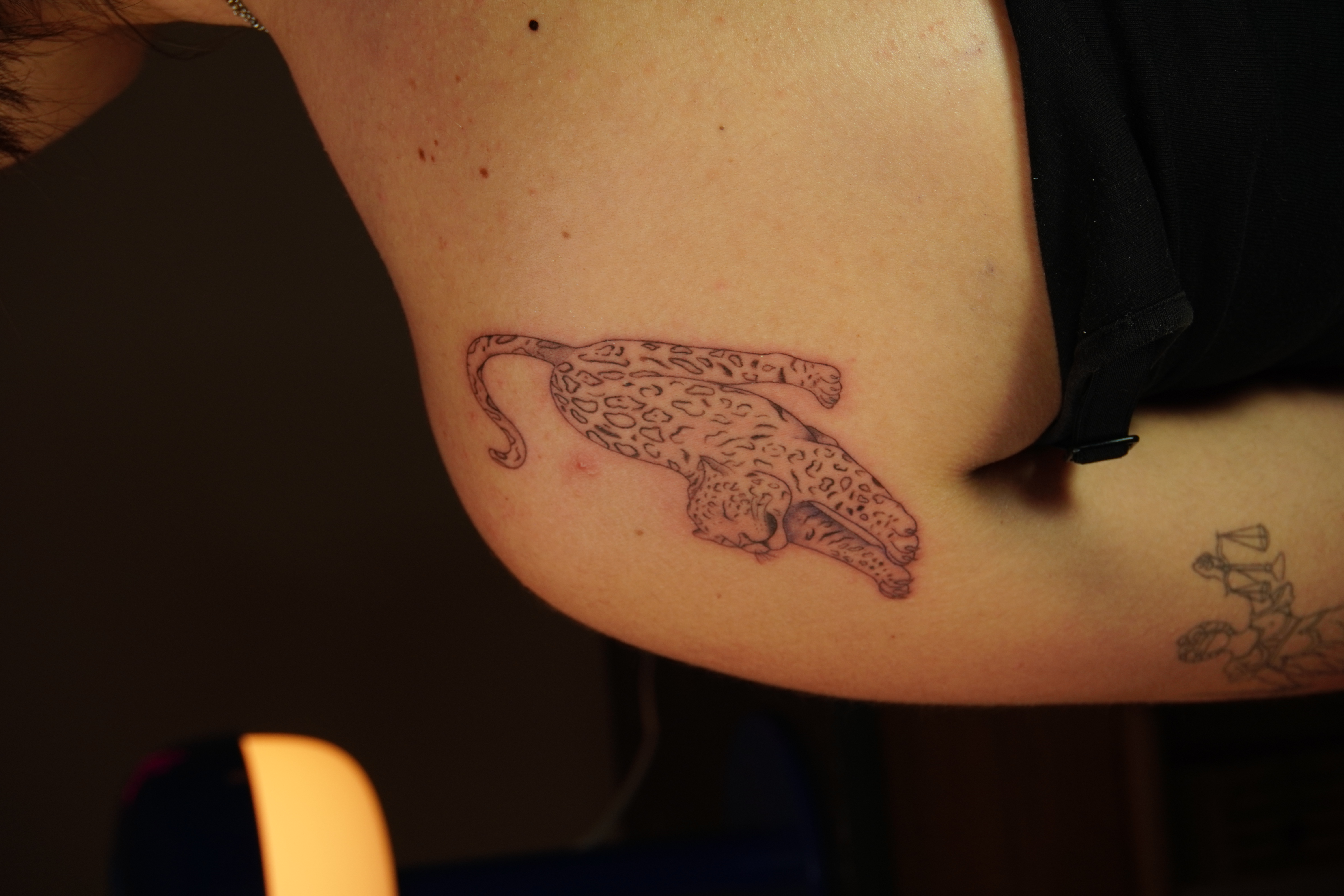 Entropia Tattoo Studio 12